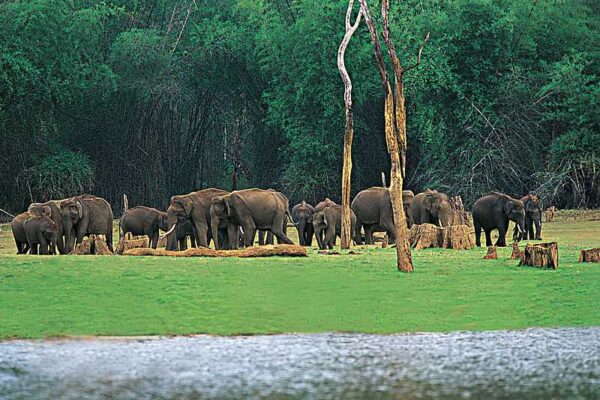 THEKKADY