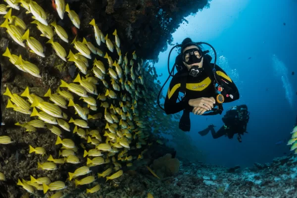 Havelock Island