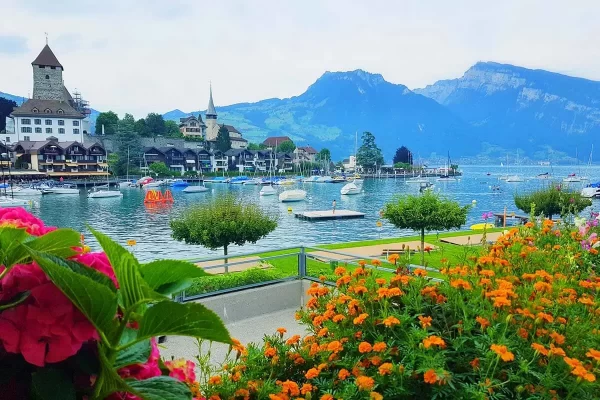 Lucerne Lucerne
