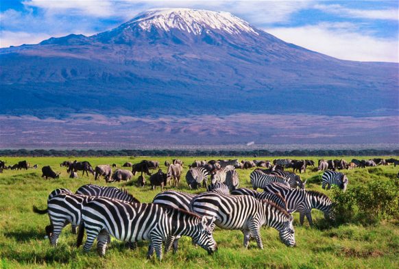Amboseli National Park Amboseli National Park