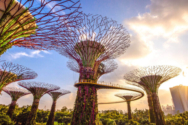 Garden By The Bay