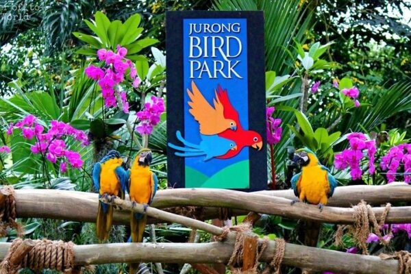Jurong Bird Park