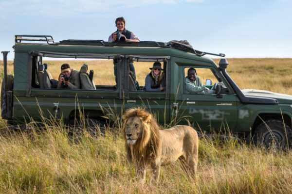 Masaimara-safaris Masaimara-safaris