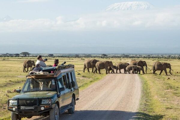 Nairobi to Amboselli Nairobi to Amboselli